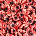 Gummy Eyeballs Candy for Drinks, Halloween Bloodshot Zombie Eyes, 2 lb