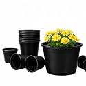Guruji Plantation Pot Set Combo Medium Terracotta