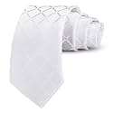 GUSLESON 3.15"(8cm) Fashion Striped PaisleyTies Mens Plaid Flower Necktie for Wedding