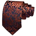 GUSLESON 3.15"(8cm) Fashion Striped PaisleyTies Mens Plaid Flower Necktie for Wedding