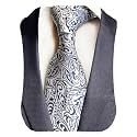 GUSLESON 3.15"(8cm) Fashion Striped PaisleyTies Mens Plaid Flower Necktie for Wedding