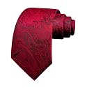 GUSLESON 3.15"(8cm) Fashion Striped PaisleyTies Mens Plaid Flower Necktie for Wedding