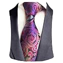 GUSLESON 3.15"(8cm) Fashion Striped PaisleyTies Mens Plaid Flower Necktie for Wedding