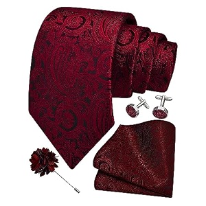 gusleson men39s 4-pc paisley tie set - jacquard necktie pocket square cufflinks lapel pin - wedding formal gifts