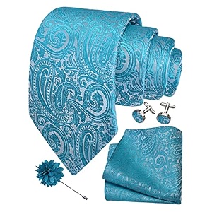 gusleson men39s 4-pc paisley tie set - jacquard necktie pocket square cufflinks lapel pin - wedding formal gifts