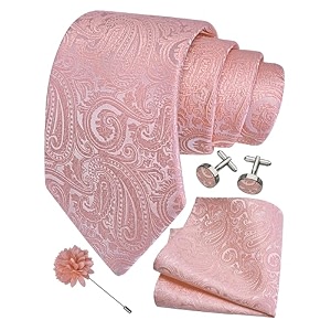 gusleson men39s 4-pc paisley tie set - jacquard necktie pocket square cufflinks lapel pin - wedding formal gifts