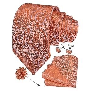 gusleson men39s 4-pc paisley tie set - jacquard necktie pocket square cufflinks lapel pin - wedding formal gifts