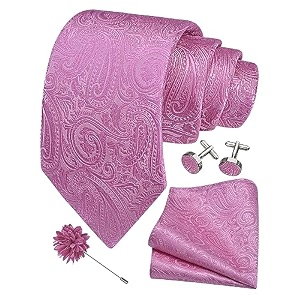 gusleson men39s 4-pc paisley tie set - jacquard necktie pocket square cufflinks lapel pin - wedding formal gifts