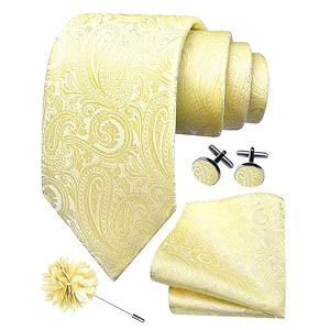 gusleson men39s 4-pc paisley tie set - jacquard necktie pocket square cufflinks lapel pin - wedding formal gifts