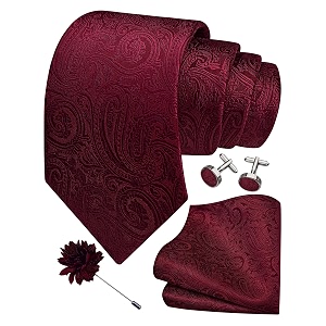 gusleson men39s 4-pc paisley tie set - jacquard necktie pocket square cufflinks lapel pin - wedding formal gifts