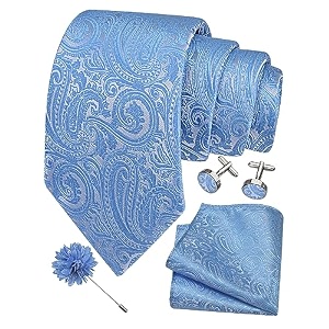gusleson men39s 4-pc paisley tie set - jacquard necktie pocket square cufflinks lapel pin - wedding formal gifts