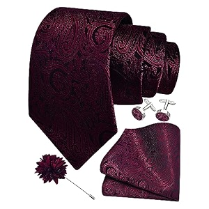 gusleson men39s 4-pc paisley tie set - jacquard necktie pocket square cufflinks lapel pin - wedding formal gifts