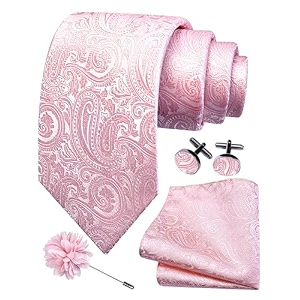 gusleson men39s 4-pc paisley tie set - jacquard necktie pocket square cufflinks lapel pin - wedding formal gifts