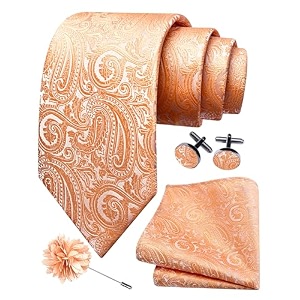 gusleson men39s 4-pc paisley tie set - jacquard necktie pocket square cufflinks lapel pin - wedding formal gifts