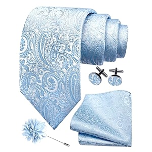 gusleson men39s 4-pc paisley tie set - jacquard necktie pocket square cufflinks lapel pin - wedding formal gifts