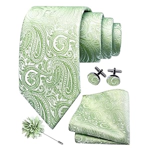 gusleson men39s 4-pc paisley tie set - jacquard necktie pocket square cufflinks lapel pin - wedding formal gifts