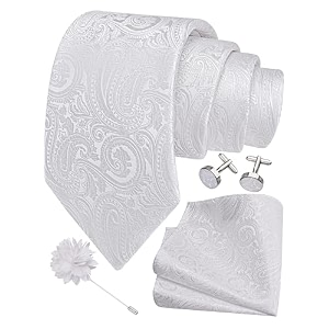 gusleson men39s 4-pc paisley tie set - jacquard necktie pocket square cufflinks lapel pin - wedding formal gifts