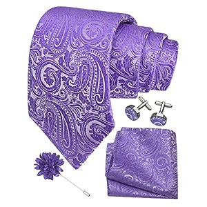 gusleson men39s 4-pc paisley tie set - jacquard necktie pocket square cufflinks lapel pin - wedding formal gifts