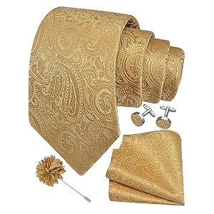gusleson men39s 4-pc paisley tie set - jacquard necktie pocket square cufflinks lapel pin - wedding formal gifts