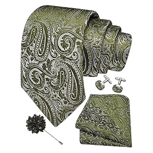 gusleson men39s 4-pc paisley tie set - jacquard necktie pocket square cufflinks lapel pin - wedding formal gifts