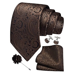 gusleson men39s 4-pc paisley tie set - jacquard necktie pocket square cufflinks lapel pin - wedding formal gifts