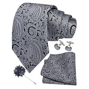 gusleson men39s 4-pc paisley tie set - jacquard necktie pocket square cufflinks lapel pin - wedding formal gifts