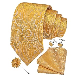 gusleson men39s 4-pc paisley tie set - jacquard necktie pocket square cufflinks lapel pin - wedding formal gifts