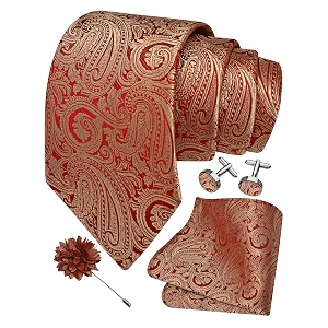 gusleson men39s 4-pc paisley tie set - jacquard necktie pocket square cufflinks lapel pin - wedding formal gifts