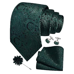 gusleson men39s 4-pc paisley tie set - jacquard necktie pocket square cufflinks lapel pin - wedding formal gifts