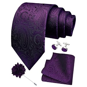 gusleson men39s 4-pc paisley tie set - jacquard necktie pocket square cufflinks lapel pin - wedding formal gifts