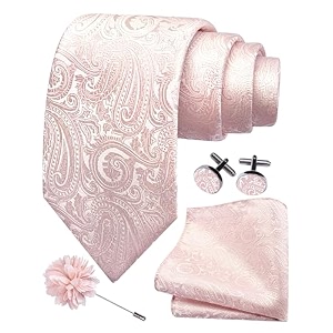 gusleson men39s 4-pc paisley tie set - jacquard necktie pocket square cufflinks lapel pin - wedding formal gifts