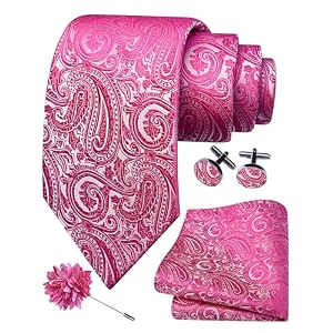 gusleson men39s 4-pc paisley tie set - jacquard necktie pocket square cufflinks lapel pin - wedding formal gifts