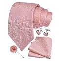 GUSLESON Men's 4-pc Paisley Tie Set - Jacquard Necktie, Pocket Square, Cufflinks, Lapel Pin - Wedding Formal Gifts