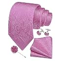 GUSLESON Men's 4-pc Paisley Tie Set - Jacquard Necktie, Pocket Square, Cufflinks, Lapel Pin - Wedding Formal Gifts