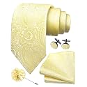 GUSLESON Men's 4-pc Paisley Tie Set - Jacquard Necktie, Pocket Square, Cufflinks, Lapel Pin - Wedding Formal Gifts