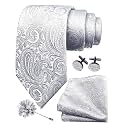 GUSLESON Men's 4-pc Paisley Tie Set - Jacquard Necktie, Pocket Square, Cufflinks, Lapel Pin - Wedding Formal Gifts