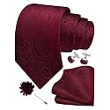 GUSLESON Men's 4-pc Paisley Tie Set - Jacquard Necktie, Pocket Square, Cufflinks, Lapel Pin - Wedding Formal Gifts
