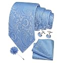 GUSLESON Men's 4-pc Paisley Tie Set - Jacquard Necktie, Pocket Square, Cufflinks, Lapel Pin - Wedding Formal Gifts