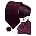 GUSLESON Men's 4-pc Paisley Tie Set - Jacquard Necktie, Pocket Square, Cufflinks, Lapel Pin - Wedding Formal Gifts