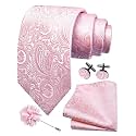 GUSLESON Men's 4-pc Paisley Tie Set - Jacquard Necktie, Pocket Square, Cufflinks, Lapel Pin - Wedding Formal Gifts
