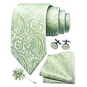 GUSLESON Men's 4-pc Paisley Tie Set - Jacquard Necktie, Pocket Square, Cufflinks, Lapel Pin - Wedding Formal Gifts