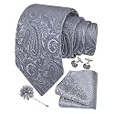 GUSLESON Men's 4-pc Paisley Tie Set - Jacquard Necktie, Pocket Square, Cufflinks, Lapel Pin - Wedding Formal Gifts