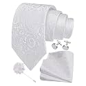 GUSLESON Men's 4-pc Paisley Tie Set - Jacquard Necktie, Pocket Square, Cufflinks, Lapel Pin - Wedding Formal Gifts