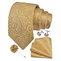 GUSLESON Men's 4-pc Paisley Tie Set - Jacquard Necktie, Pocket Square, Cufflinks, Lapel Pin - Wedding Formal Gifts