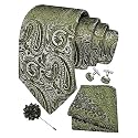 GUSLESON Men's 4-pc Paisley Tie Set - Jacquard Necktie, Pocket Square, Cufflinks, Lapel Pin - Wedding Formal Gifts