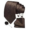 GUSLESON Men's 4-pc Paisley Tie Set - Jacquard Necktie, Pocket Square, Cufflinks, Lapel Pin - Wedding Formal Gifts