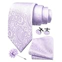GUSLESON Men's 4-pc Paisley Tie Set - Jacquard Necktie, Pocket Square, Cufflinks, Lapel Pin - Wedding Formal Gifts