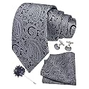 GUSLESON Men's 4-pc Paisley Tie Set - Jacquard Necktie, Pocket Square, Cufflinks, Lapel Pin - Wedding Formal Gifts
