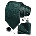 GUSLESON Men's 4-pc Paisley Tie Set - Jacquard Necktie, Pocket Square, Cufflinks, Lapel Pin - Wedding Formal Gifts