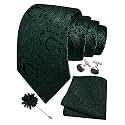GUSLESON Men's 4-pc Paisley Tie Set - Jacquard Necktie, Pocket Square, Cufflinks, Lapel Pin - Wedding Formal Gifts